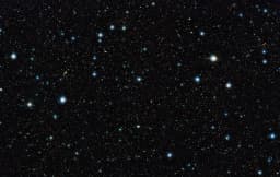 Cosmos