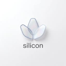 Silicon Markets