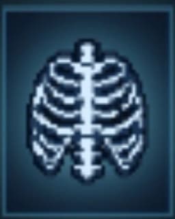 Xray Terminal