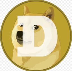 Doge life