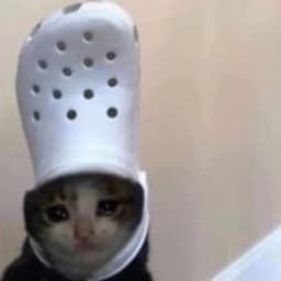 YASH CAT