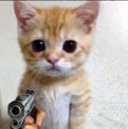 GATO