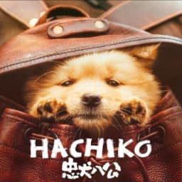 Hachiko