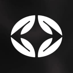OCCLUSION NETWORK